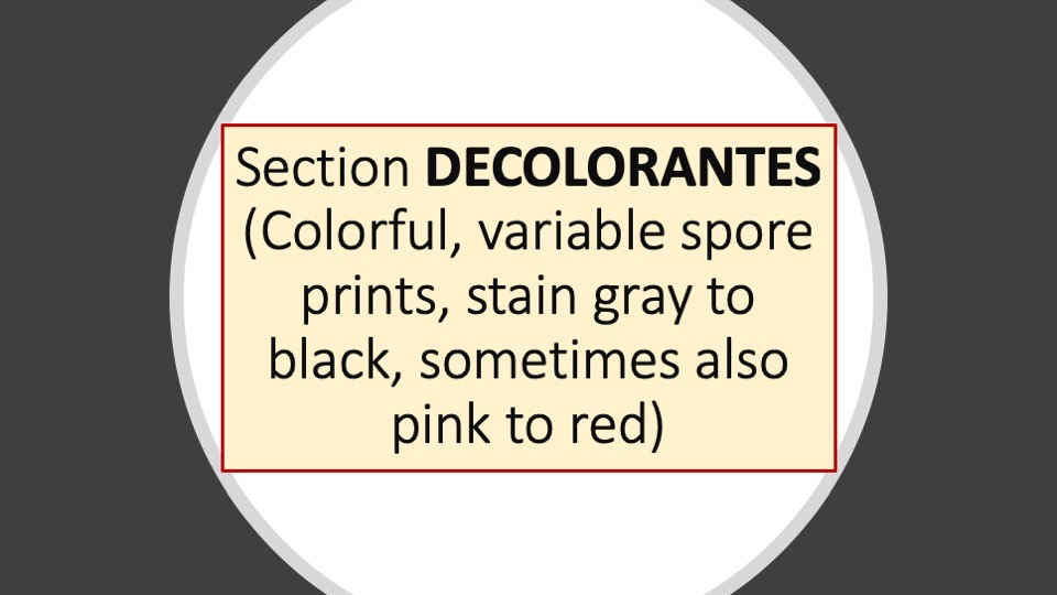Slide24