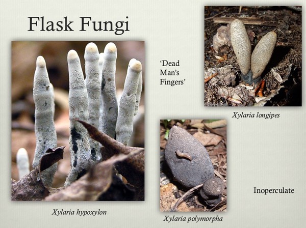 Slide25