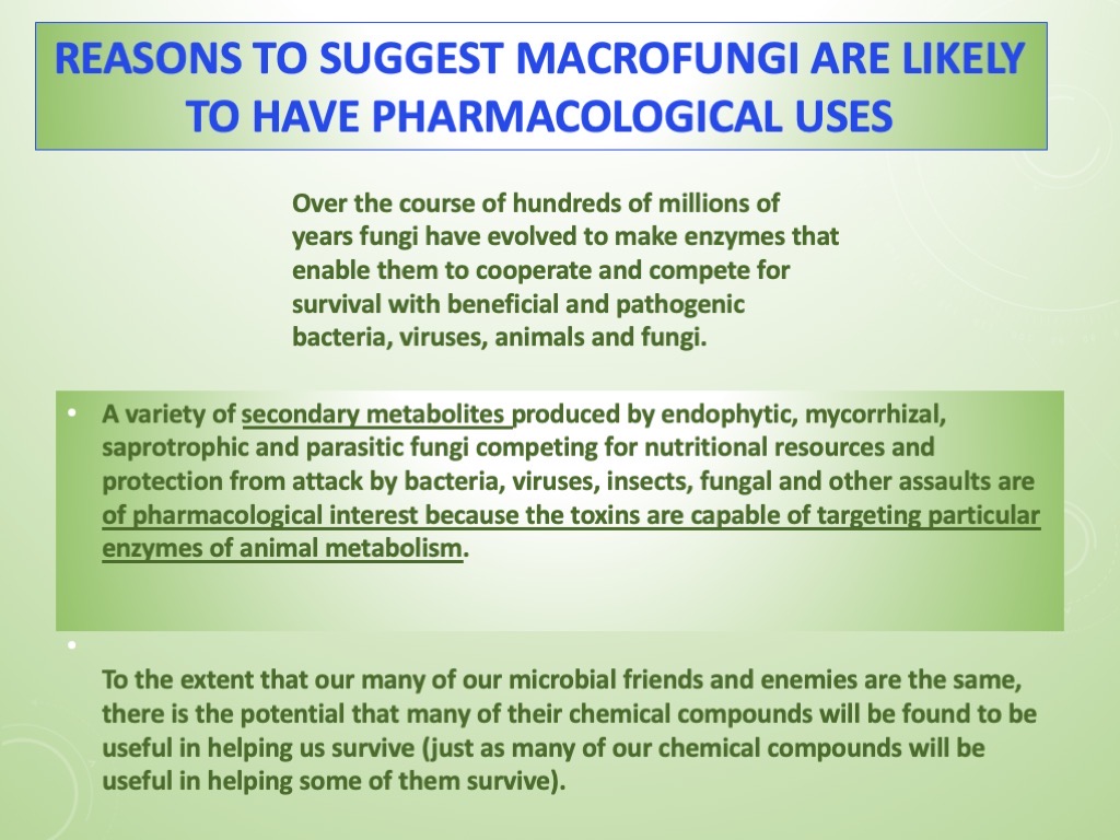 Slide25
