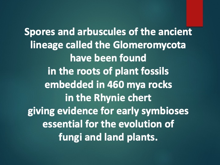 Slide25