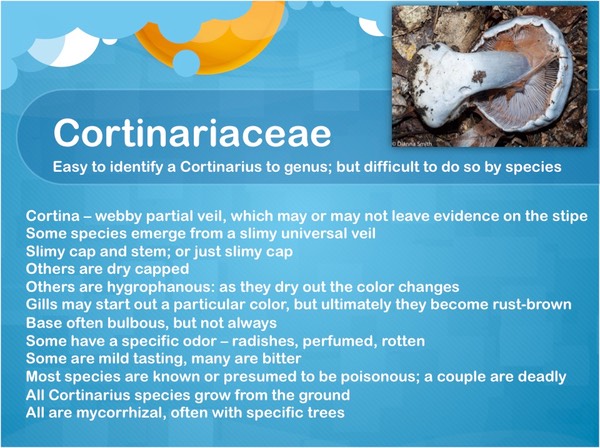 Slide25