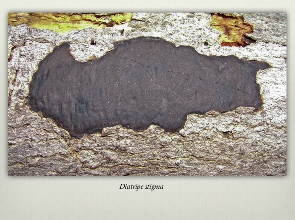 Slide26