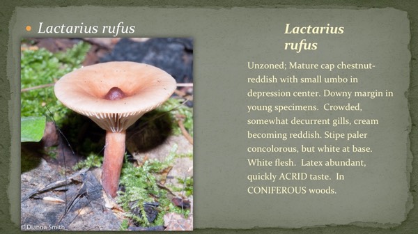 Slide26