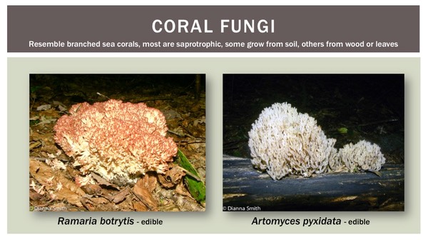 Slide26
