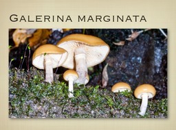 Slide27