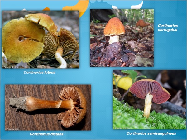 Slide27