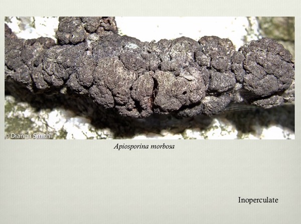 Slide28