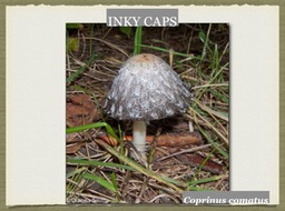 Slide28