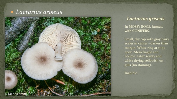 Slide28
