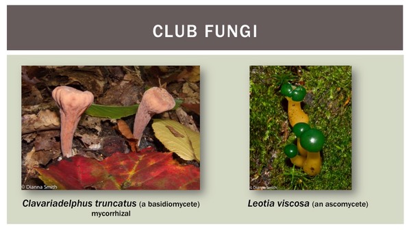 Slide28