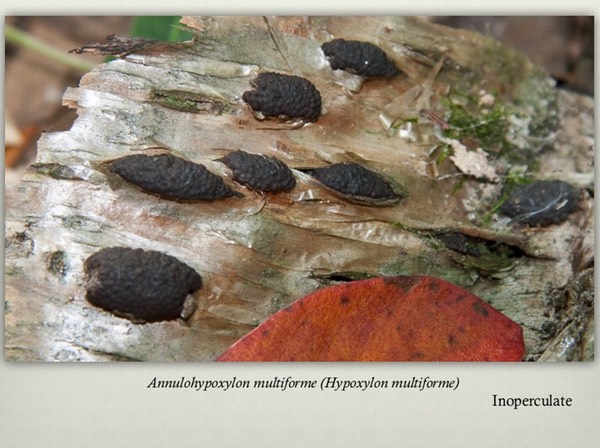Slide29