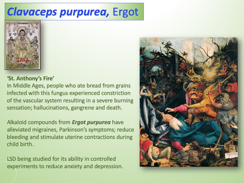 Slide29