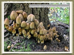 Slide29