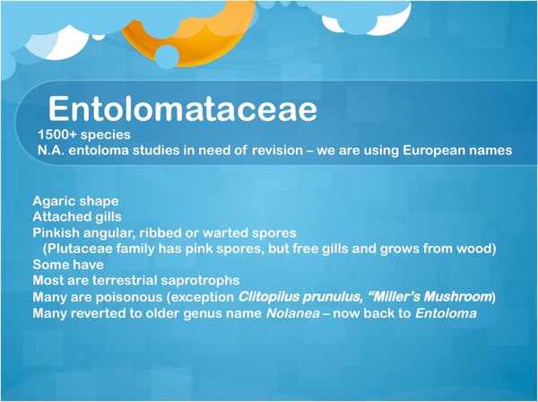 Slide29