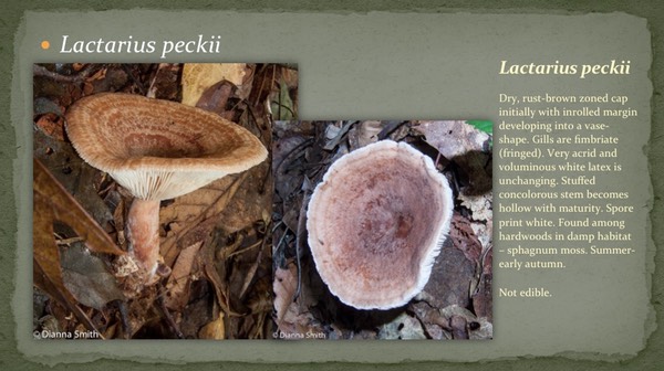 Slide29