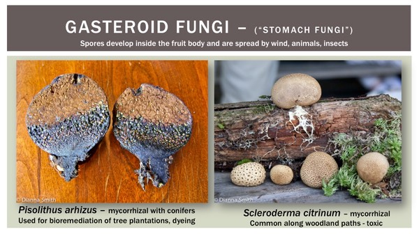 Slide29
