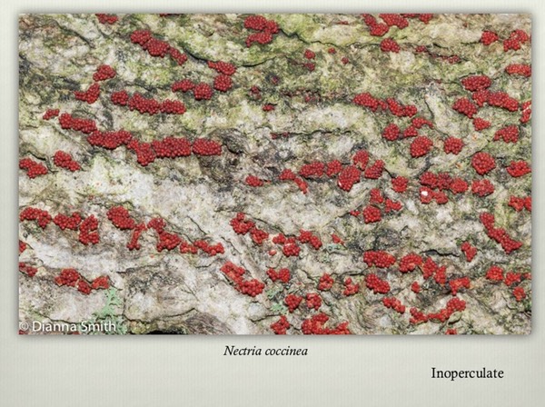 Slide30