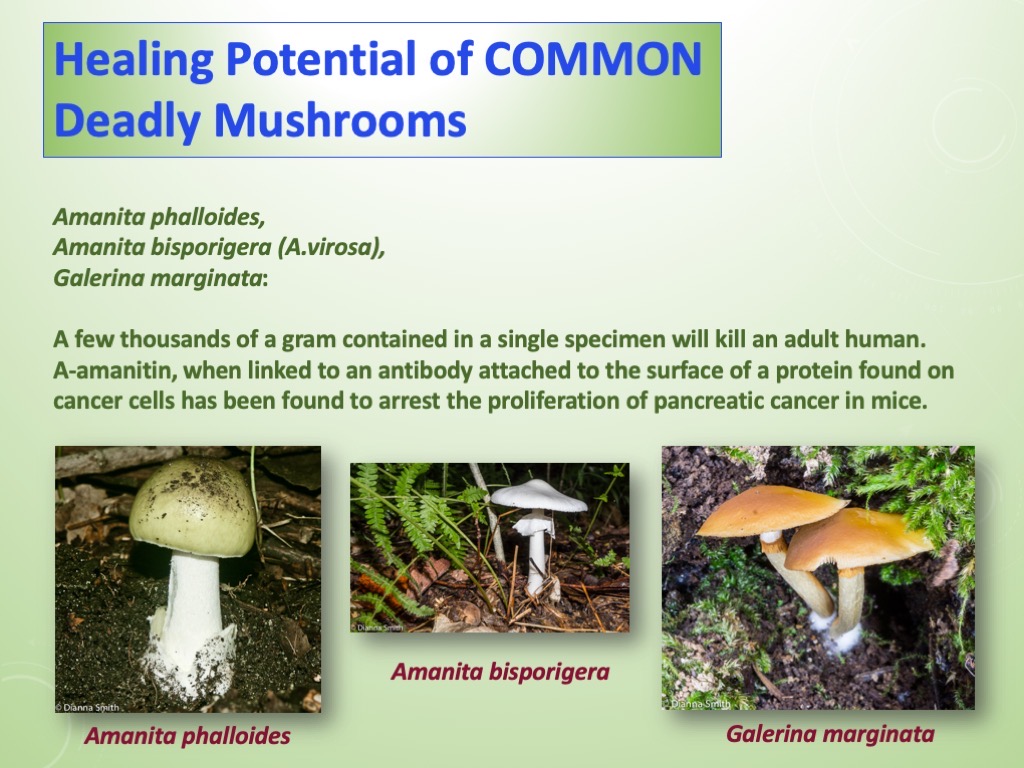 Slide31