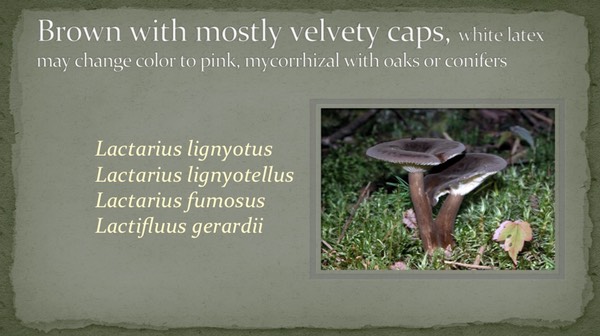 Slide31