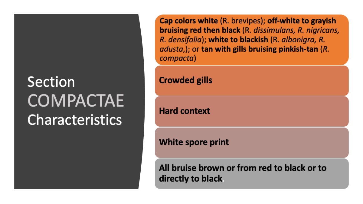 Slide31