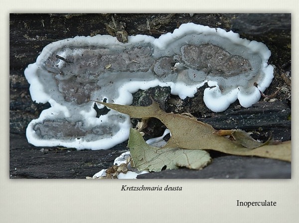 Slide32