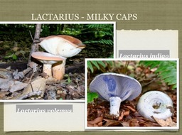Slide32