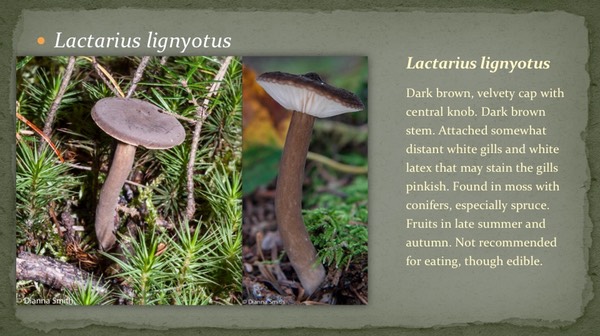 Slide32