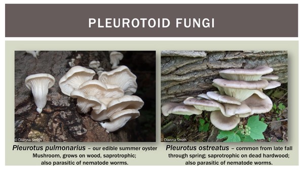 Slide32