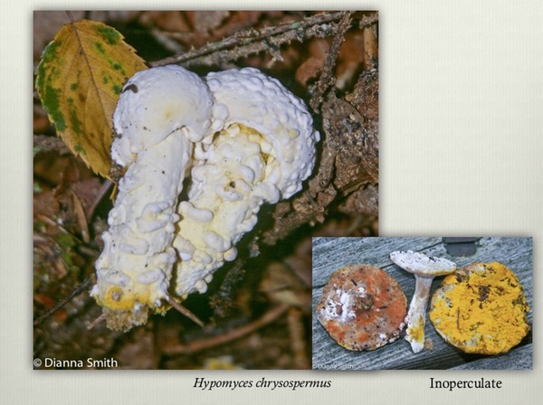 Slide33
