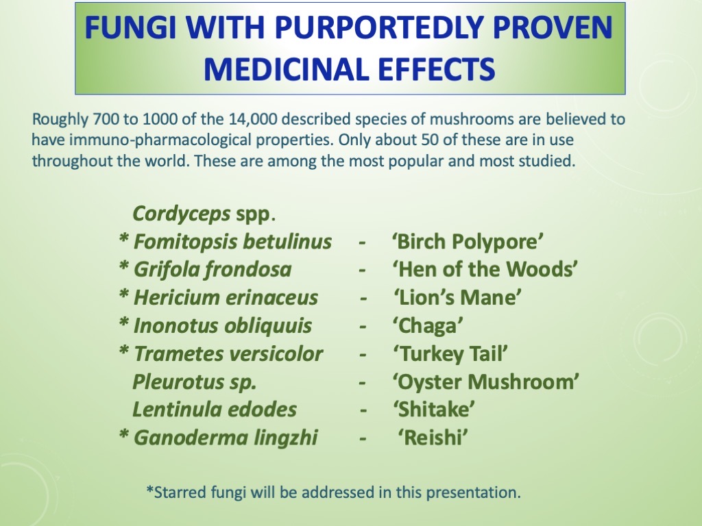 Slide33