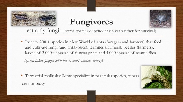 Slide33