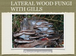 Slide33