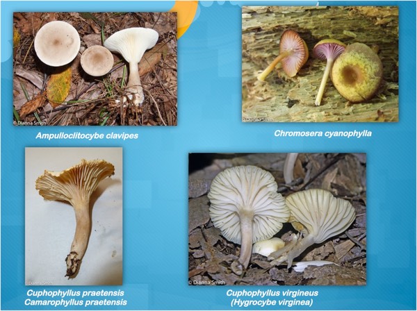 Slide33