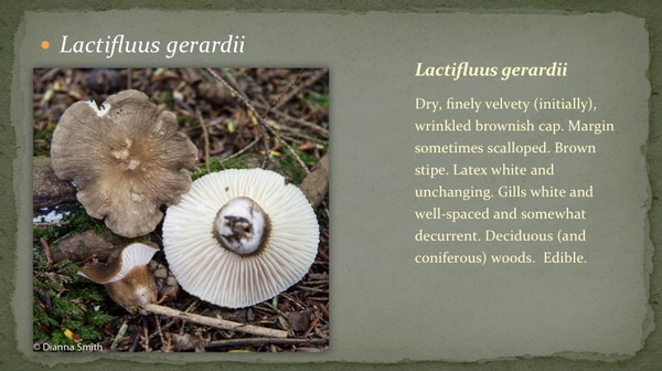 Slide33
