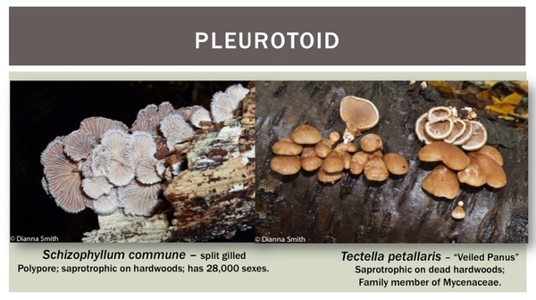 Slide33