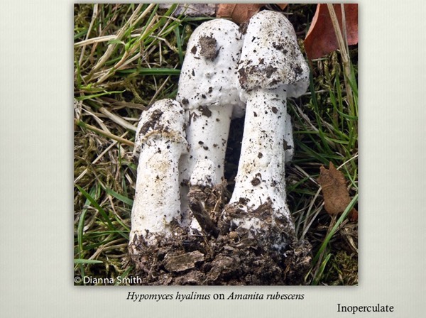 Slide34