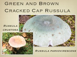 Slide34