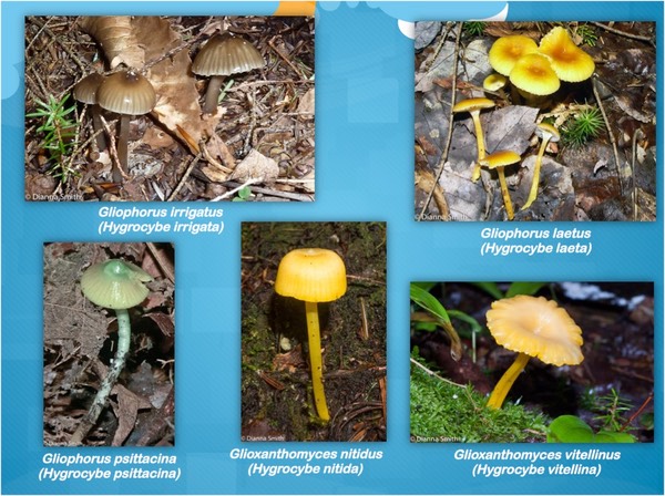 Slide34