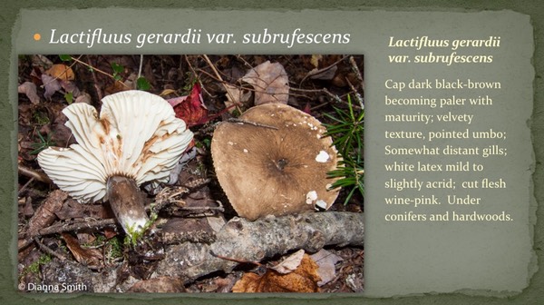 Slide34