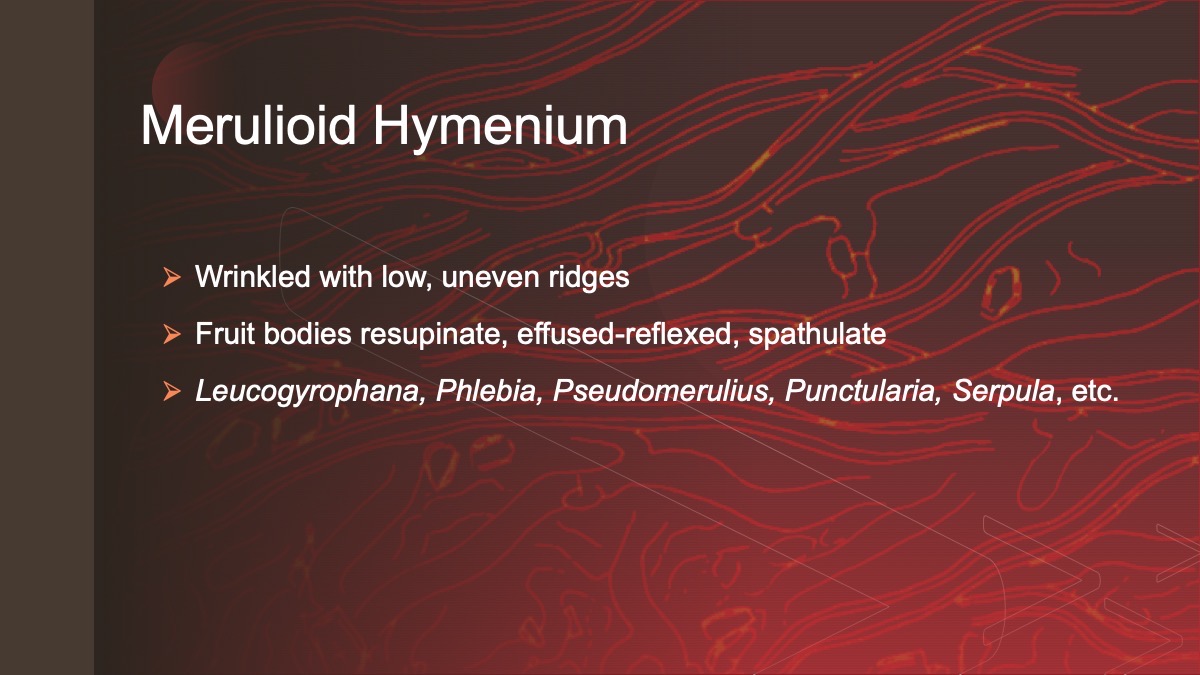 Slide34