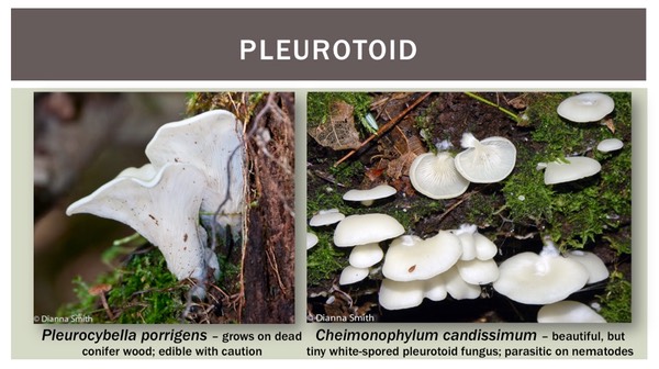 Slide34