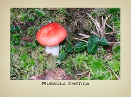 Slide35