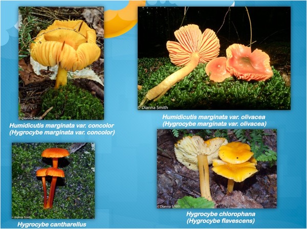 Slide35