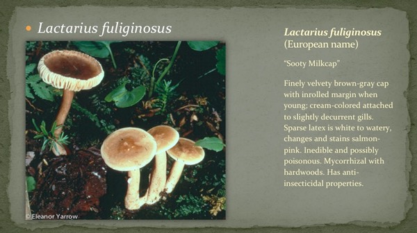Slide35