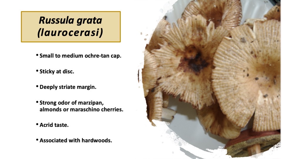 Slide35