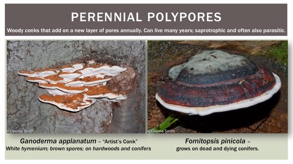 Slide35