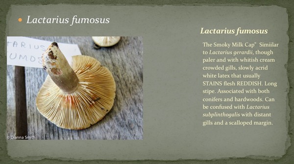 Slide36