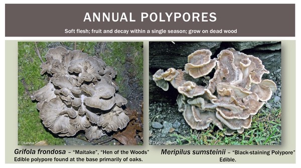 Slide36