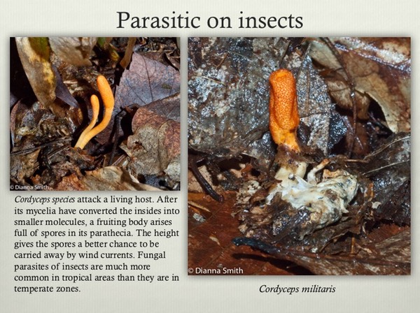Slide37