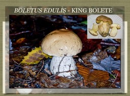 Slide37